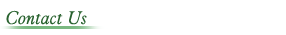 Contact Us